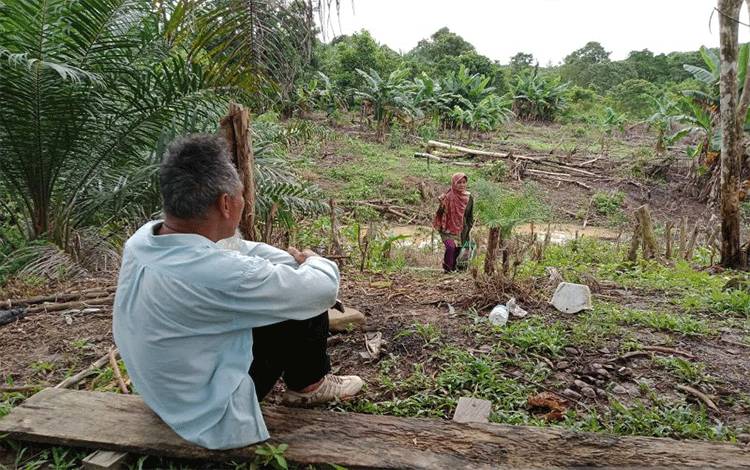 Otorita IKN : Pembangunan IKN Perlu Libatkan Masyarakat Lokal