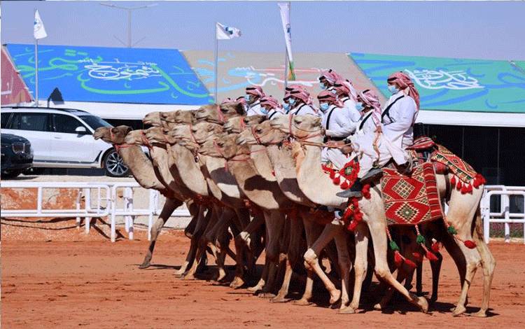 Lembaga Investasi Saudi Dirikan Perusahaan, Genjot Industri Susu Unta