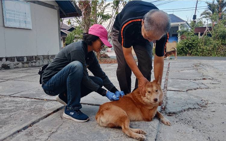 Kuota Vaksin Rabies Berkurang, Distan Kapuas Tetap Vaksinasi Hewan di Kecamatan Selat