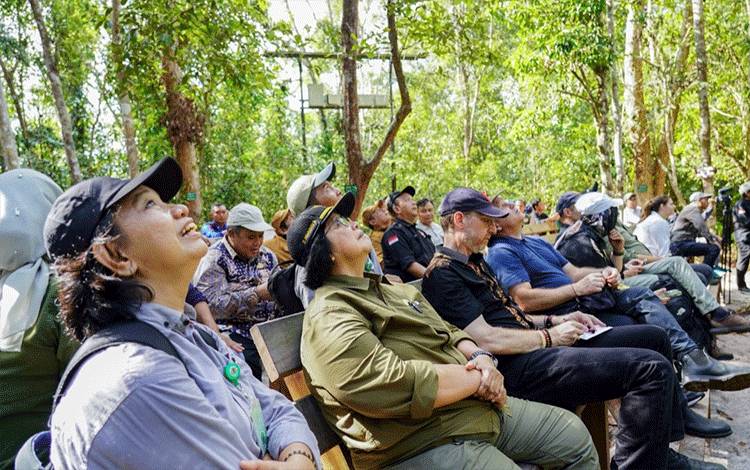 Menteri LHK dan Delegasi AS Kunjungi TNTP, Pemkab Kobar Komitmen Pelihara Hutan Berkelanjutan