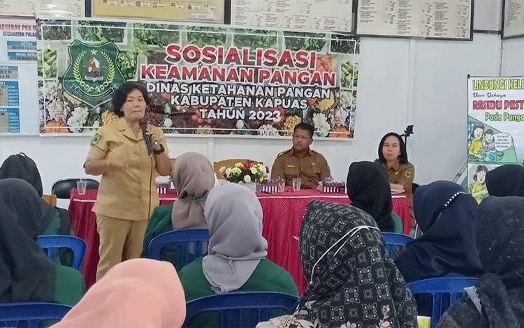 Dinas Ketahanan Pangan Sosialisasi Keamanan Pangan di Desa Teluk Palinget?