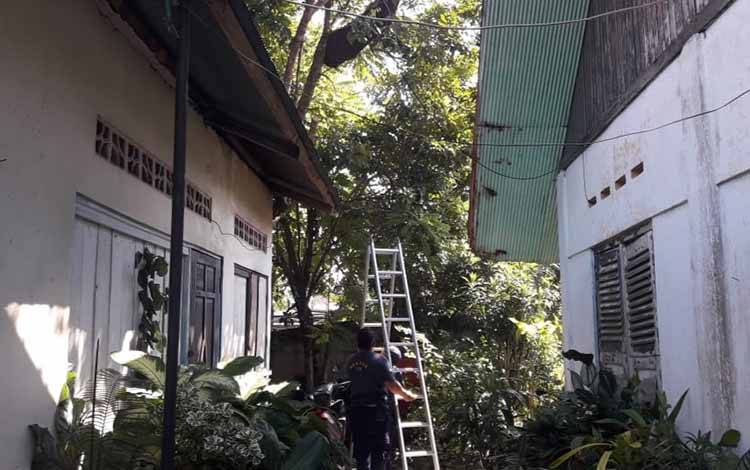 Lebah Madu Masuk Rumah, Abimanyu Lapor Call Center 112