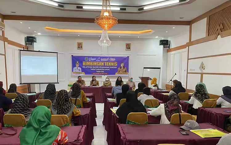 Dinkes Kapuas Bimtek Kader Keamanan Pangan