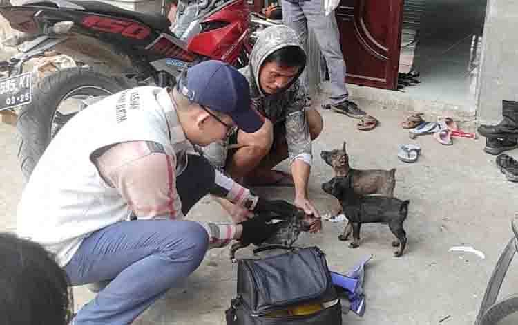 Ini Lokasi Vaksinasi Rabies di Barito Timur 7-9 Agustus 2023