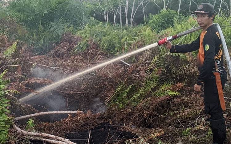 Hingga Hari Ini, 94 Karhutla Terjadi di Palangka Raya