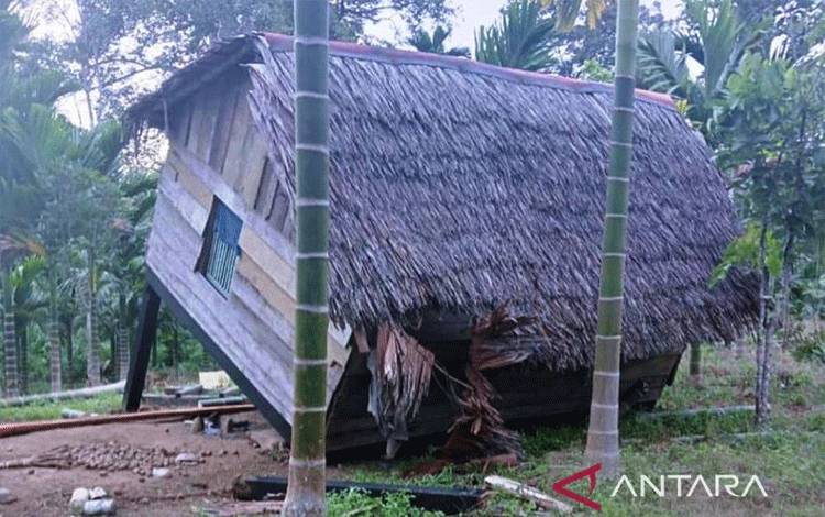 Sepasang Gajah Liar Obrak-Abrik Kebun Warga di Pedalaman Aceh Barat