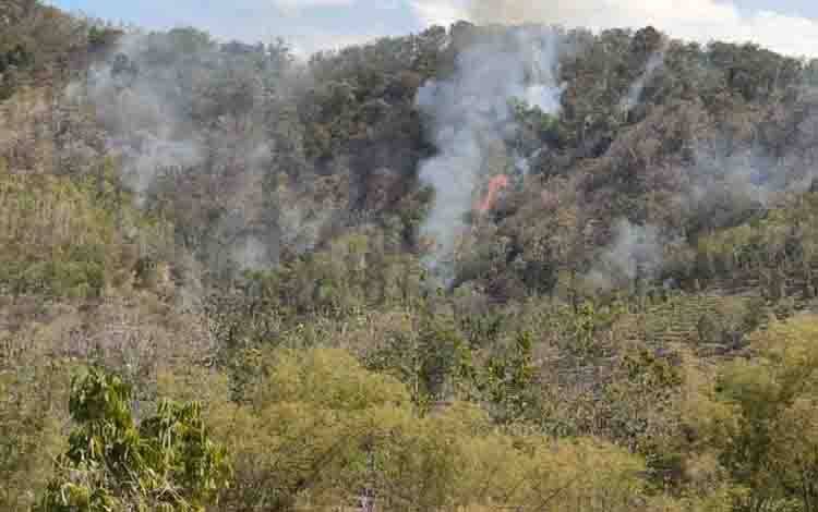 Lebih dari 2.000 Orang Dievakuasi Akibat Kebakaran Hutan di Prancis