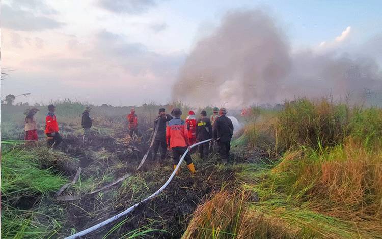 Luasan Kebakaran Hutan dan Lahan di Desa Kahuripan Permai Capai 28 Hektare