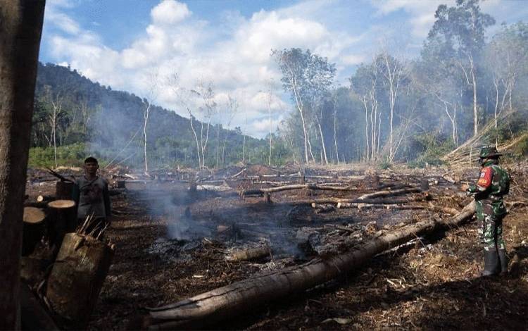 Ratusan Hotspot Terpantau di Wilayah Kabupaten Lamandau