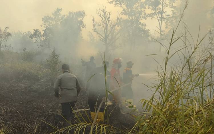 Kejadian Karhutla Meningkat di Kapuas pada Agustus