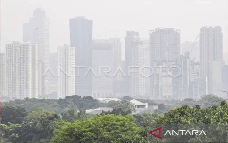 Pakar Paru Bagikan Cara Menilai Kualitas Udara Tanpa Alat, Jarak Pandang Jadi Pertanda