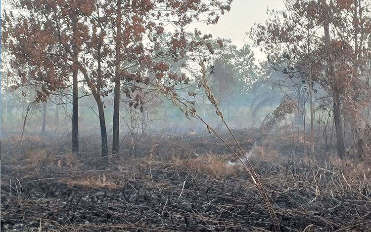 Camat MB Ketapang Ingatkan Puntung Rokok dan Membakar Sampah Bisa Sebabkan Kebakaran Lahan