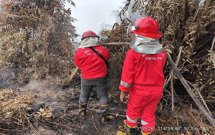 Tim Gabungan Padamkan Kebakaran Lahan di Barito Timur