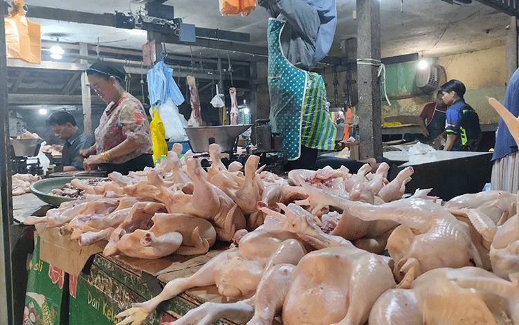 Harga Ayam Pedaging di Palangka Raya Turun
