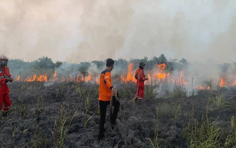 Tim Satgas Kapuas Kembali Berjibaku Padamkan Karhutla di Desa Bentuk Jaya