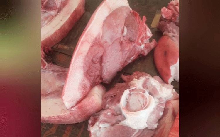 Harga Daging Babi Turun Karena Tidak Terjadi Kematian