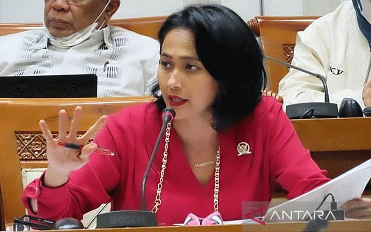 Anggota DPR Kutuk Keras Pembunuhan Aktivis Perempuan Papua oleh KKB