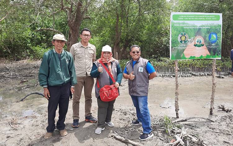 Tiga Peran Perguruan Tinggi Bisa Selamatkan Mangrove