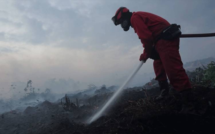 Kabut Asap Ancam Kotawaringin Barat
