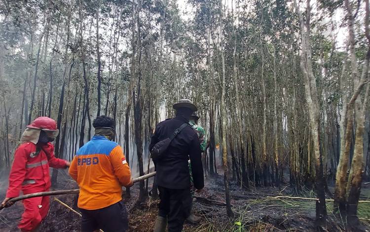 Satgas Kapuas Berjibaku Padamkan Karhutla di Desa Anjir Serapat Barat