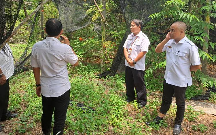 Kepala DLHK Seruyan Kunjungi Areal Pembibitan