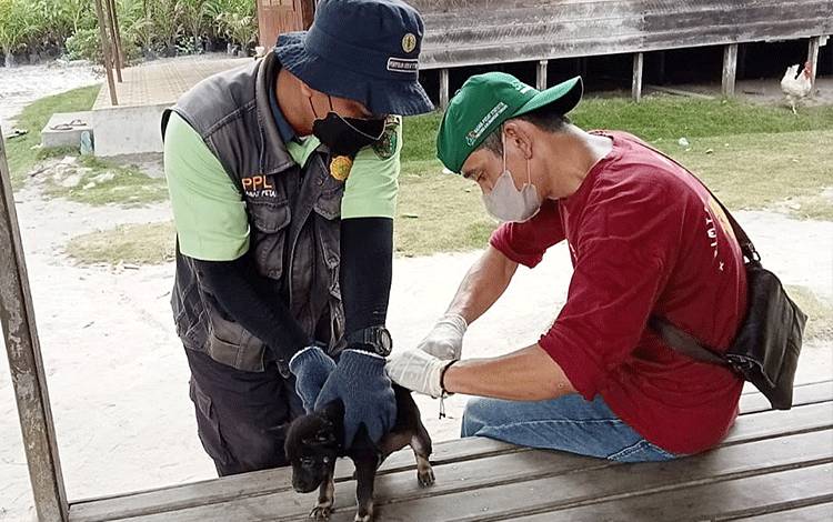 BPP Paju Epat Dukung Vaksinasi Rabies di Wilayah Kerja