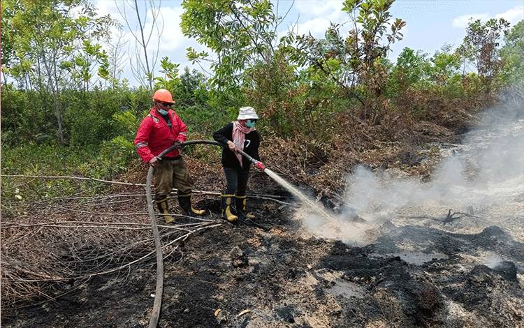 Cegah Karhutla, Lurah Kalampangan Lakukan Pembasahan Lahan