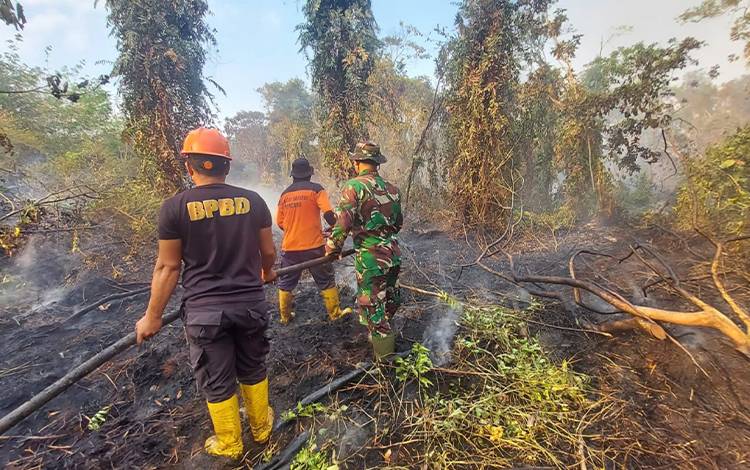 Satgas Lakukan Pemadaman Kahutla di Desa Anjir Serapat Timur