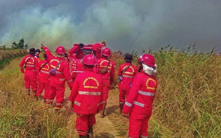 Manggala Agni Kapuas Bersama Satgas Karhutla Terus Berjibaku Tanggulangi Kebakaran Lahan
