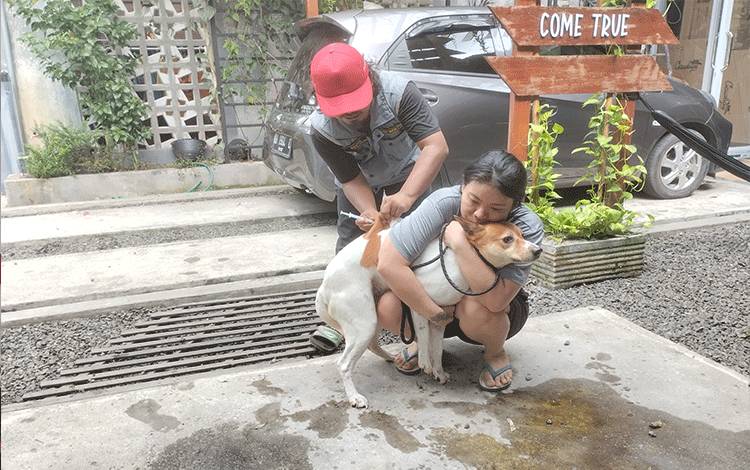 Vaksinasi Rabies Serentak Disertai Pencatatan Rekor MURI di Palangka Raya Ditunda