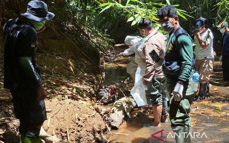 Tim Gabungan Selidiki Penyebab Kematian Sejumlah Satwa Liar di TNBNW