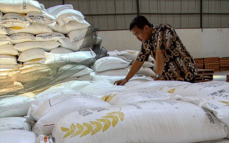 Pemerintah Salurkan Sekitar 210 Ribu Ton Bantuan Beras Setiap Bulan