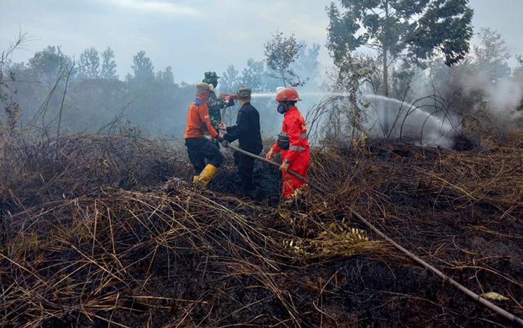 Belasan Hektare Lahan Terbakar, Satgas Kapuas Padamkan Karhutla di Desa Palingkau Asri