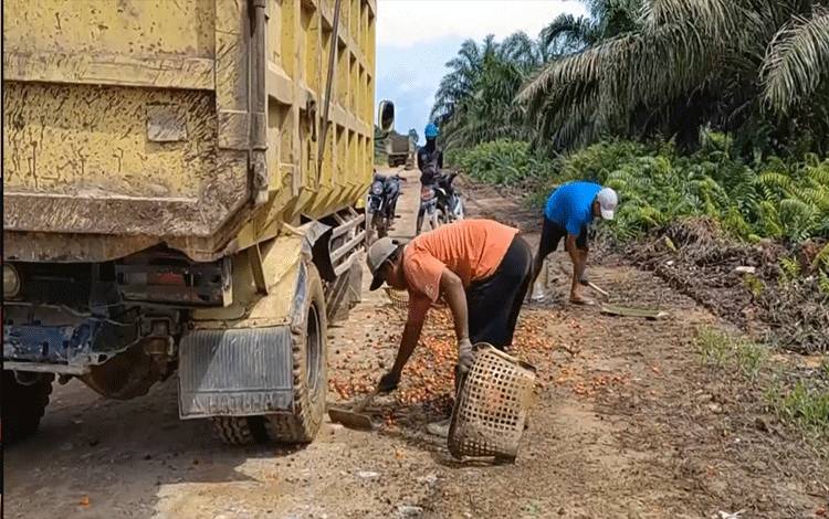 Ada Tiga Piloting Minyak Makan Merah di Indonesia