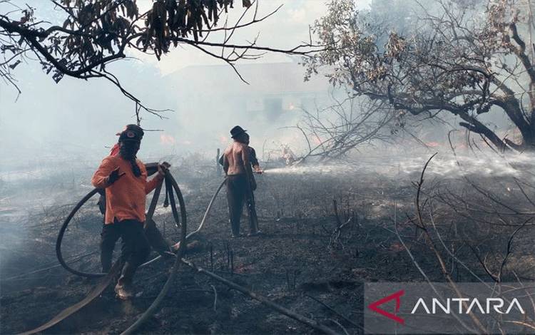 Lahan Gambut Terbakar di Palangka Raya Tersebar di 4 Kecamatan ini