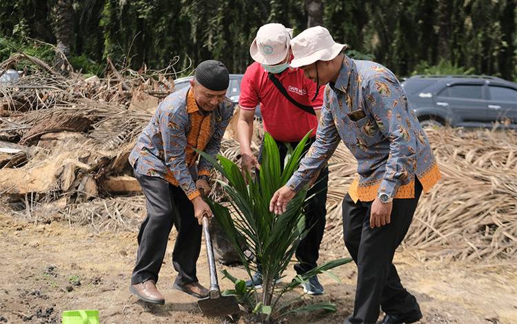 Jalur Kemitraan Percepat Program Peremajaan Sawit Rakyat