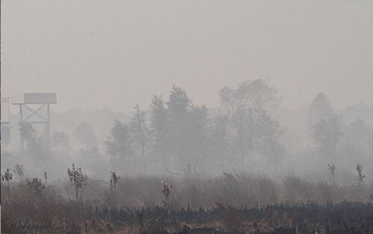 Hot Spot di Kalteng Alami Tren Peningkatan Sejak Mei 2023