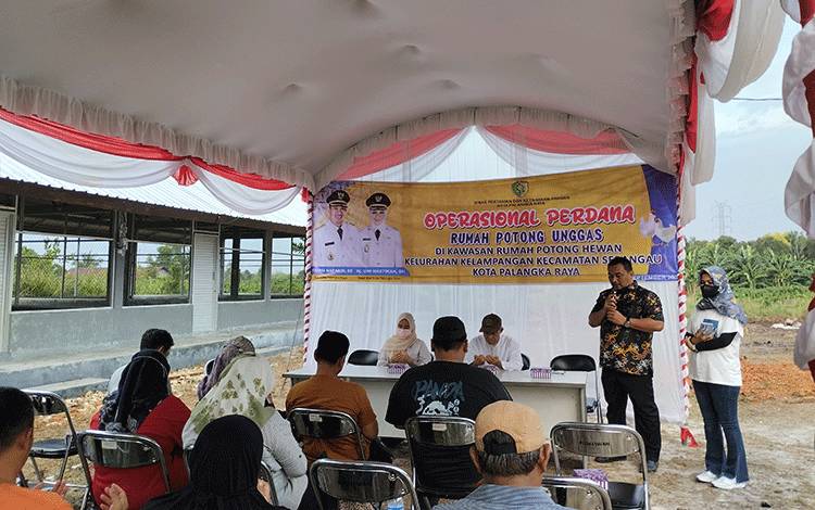 Ini Kelengkapan Alat yang Tersedia di Rumah Potong Unggas Palangka Raya