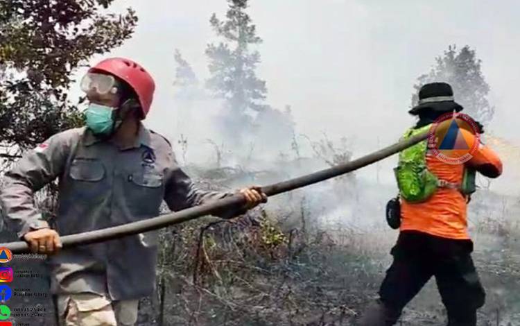 BMKG Peringatkan Potensi Karhutla di Sejumlah Wilayah Indonesia