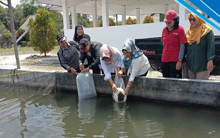 Dinas Perikanan Palangka Raya Bantu 2 Ribu Bibit Lele di TTP Banturung