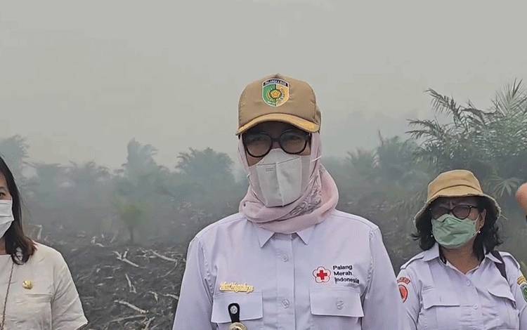 Pj Wali Kota Palangka Raya Tinjau Karhutla di Perbatasan Pulpis