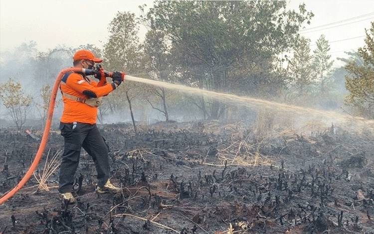 BPBPK Kalteng Minta Perangkat Daerah Dukung Pemadaman Karhutla