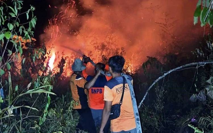 Belum Ada yang Diperiksa Polisi Terkait Kebakaran Lahan di Lamandau