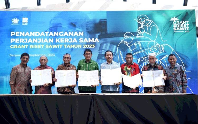 Kembali Selenggarakan Program Grant Riset Sawit, BPDPKS Danai Penelitian 26 Lembaga