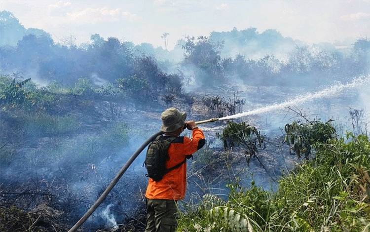 Telah Terjadi 24 Kali Kebakaran Hutan dan Lahan di Lamandau