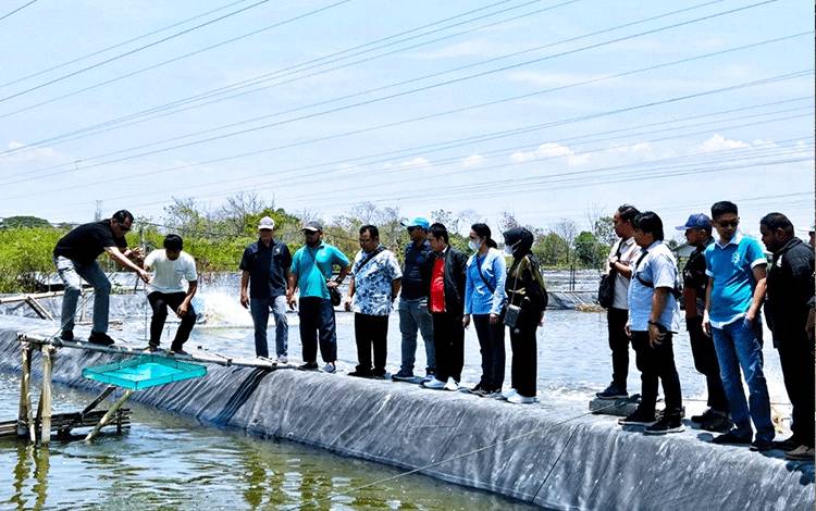 Dislutkan Kalteng Catat Pembangunan Shrimp Estate Kalteng Capai 75,76 Persen