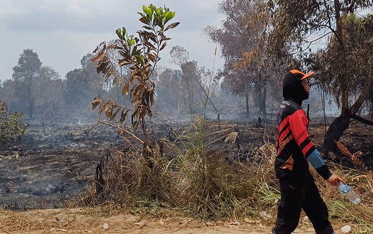 Bupati Kotim Duga Peristiwa Karhutla di Kotim Sengaja Dilakukan