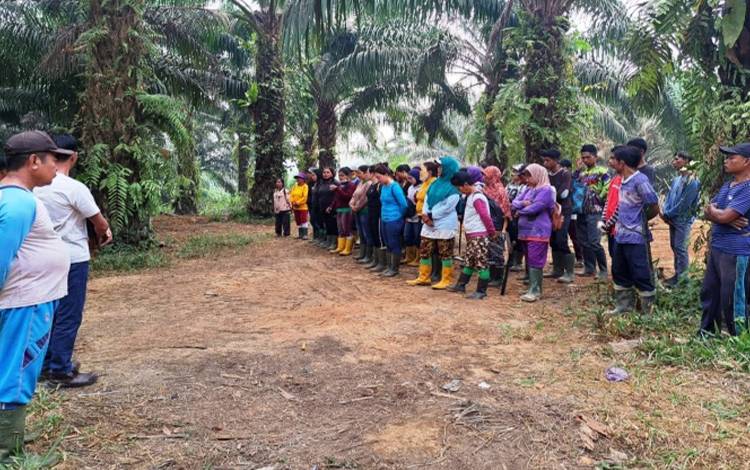 Warga Tamiang Kembali Kompak Kelola Kebun Desa  ?