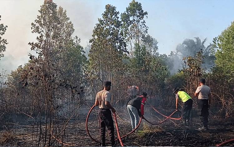 DLH Sukamara Diminta Programkan Penanaman di Lahan Terdampak Karhutla