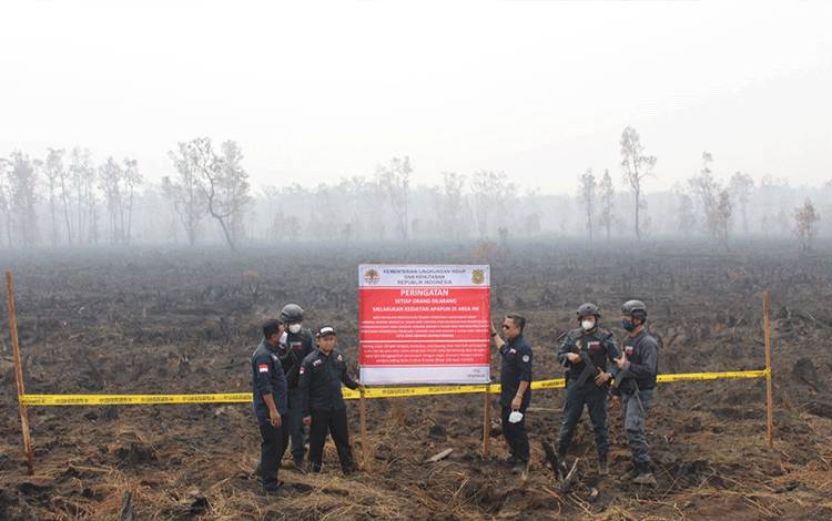 KLHK Segel Lahan PT. PGK Karena Karhutla, Begini Kata Pihak Perusahaan?